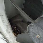 意外に駆除依頼が多い室外機の中のアシナガバチの巣