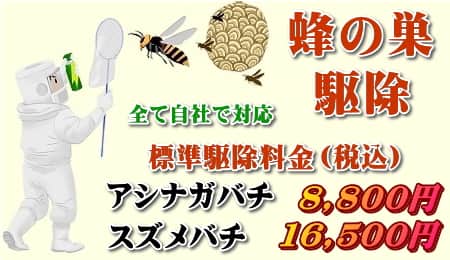 静岡県東部でハチ、蜂の巣駆除業者をお探しならお任せ下さい。